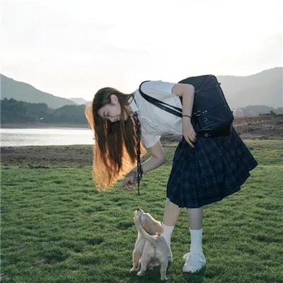 大湾区旅行者